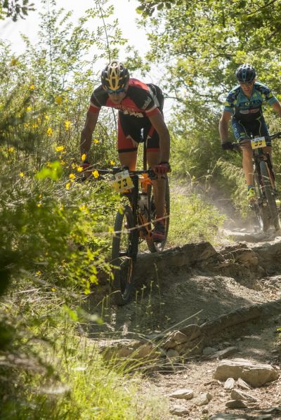 36_Rally_di_Romagna_2017.jpg