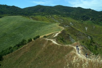52_Rally_di_Romagna_2017.jpg