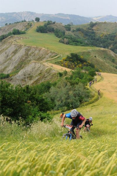 rally_di_romagna_2022_1487.jpeg