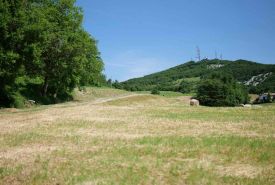 Day 2 • Rally di Romagna 2025