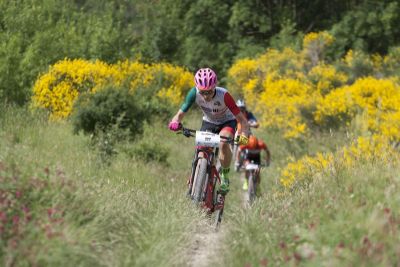 021_Rally_di_Romagna_2018.jpg