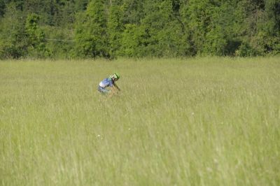 054_Rally_di_Romagna_2018.jpg