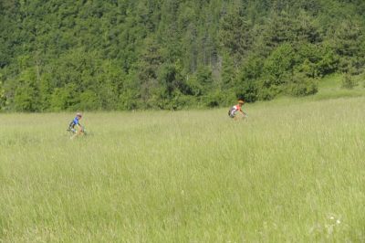 136_Rally_di_Romagna_2018.jpg